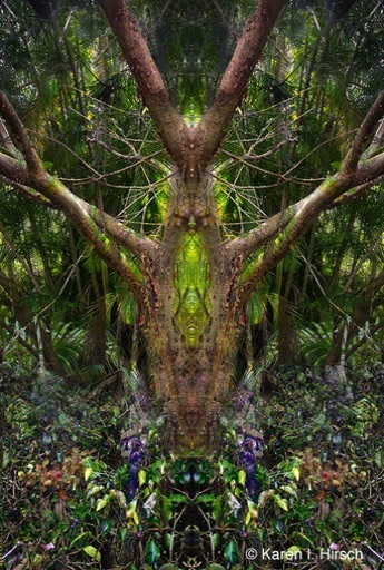 Bird-tree meditation - Image of a bird of bark with outstretched arms (branches) and closed eyes